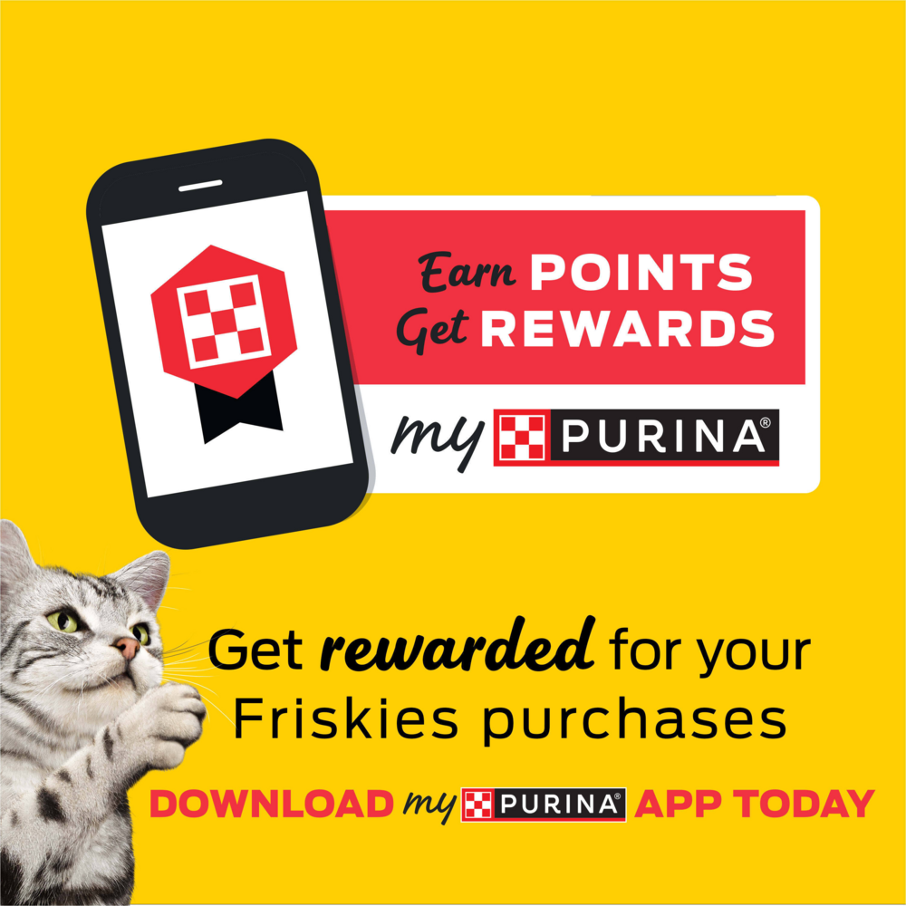 Friskies Cat Food Surfin and Turfin Favorites Dry Cat Food