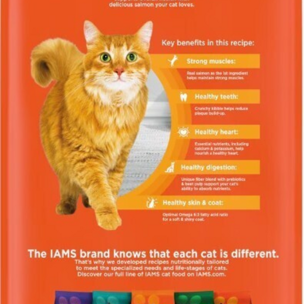 Iams ProActive Health Original with Salmon and Tuna Dry Cat Food