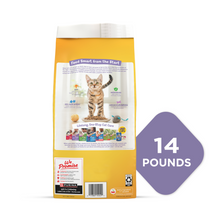 Load image into Gallery viewer, Purina Kitten Chow Dry Cat Food