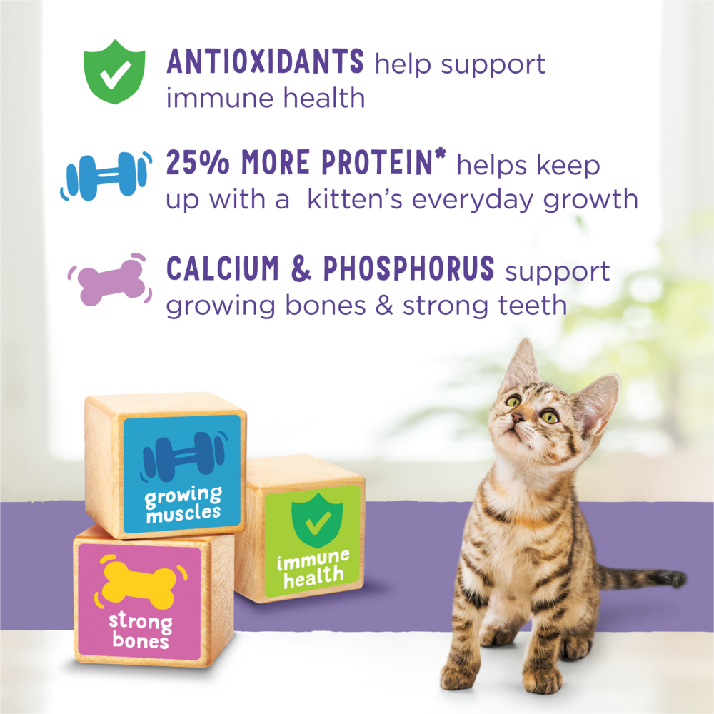 
                  
                    Purina Kitten Chow Kitten Food Healthy Development with Real Chicken Dry Kitten Food
                  
                