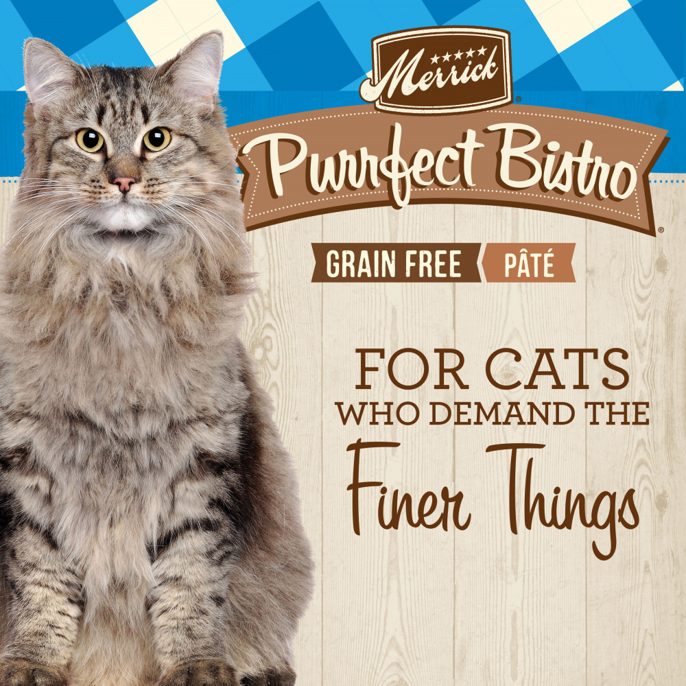 
                  
                    Merrick Purrfect Bistro Surfin & Turfin Pate Grain Free Canned Cat Food
                  
                