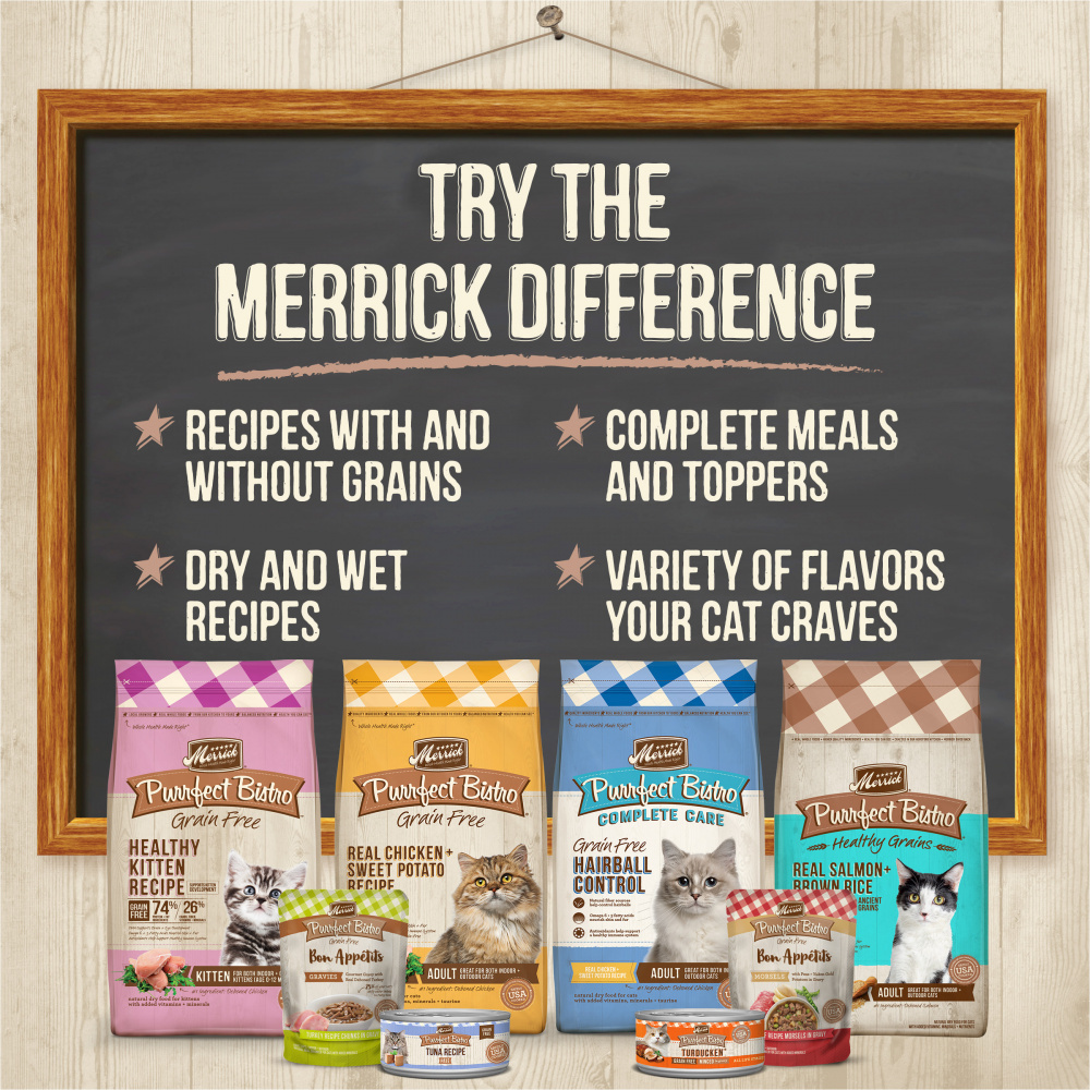 
                  
                    Merrick Purrfect Bistro Surfin & Turfin Pate Grain Free Canned Cat Food
                  
                