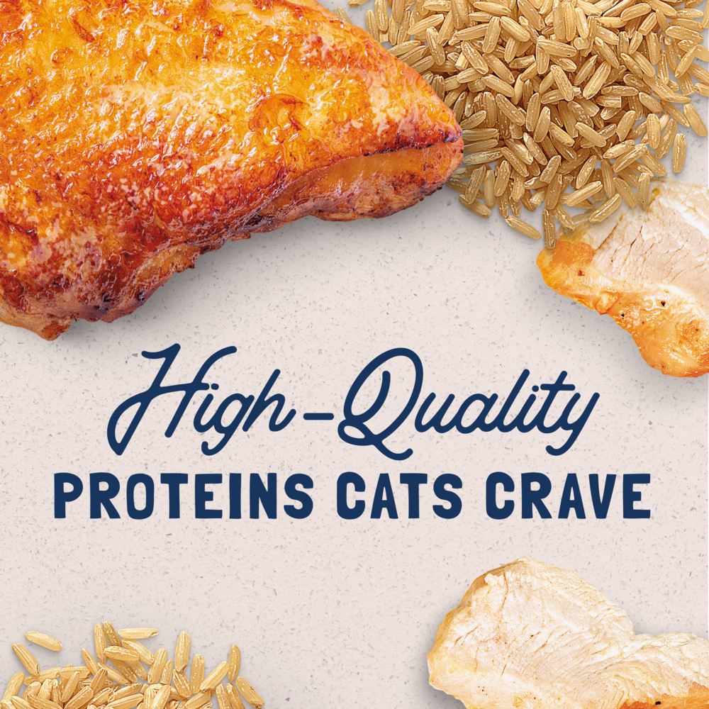 
                  
                    Natural Balance Original Ultra Chicken & Liver Recipe Canned Wet Cat Food
                  
                