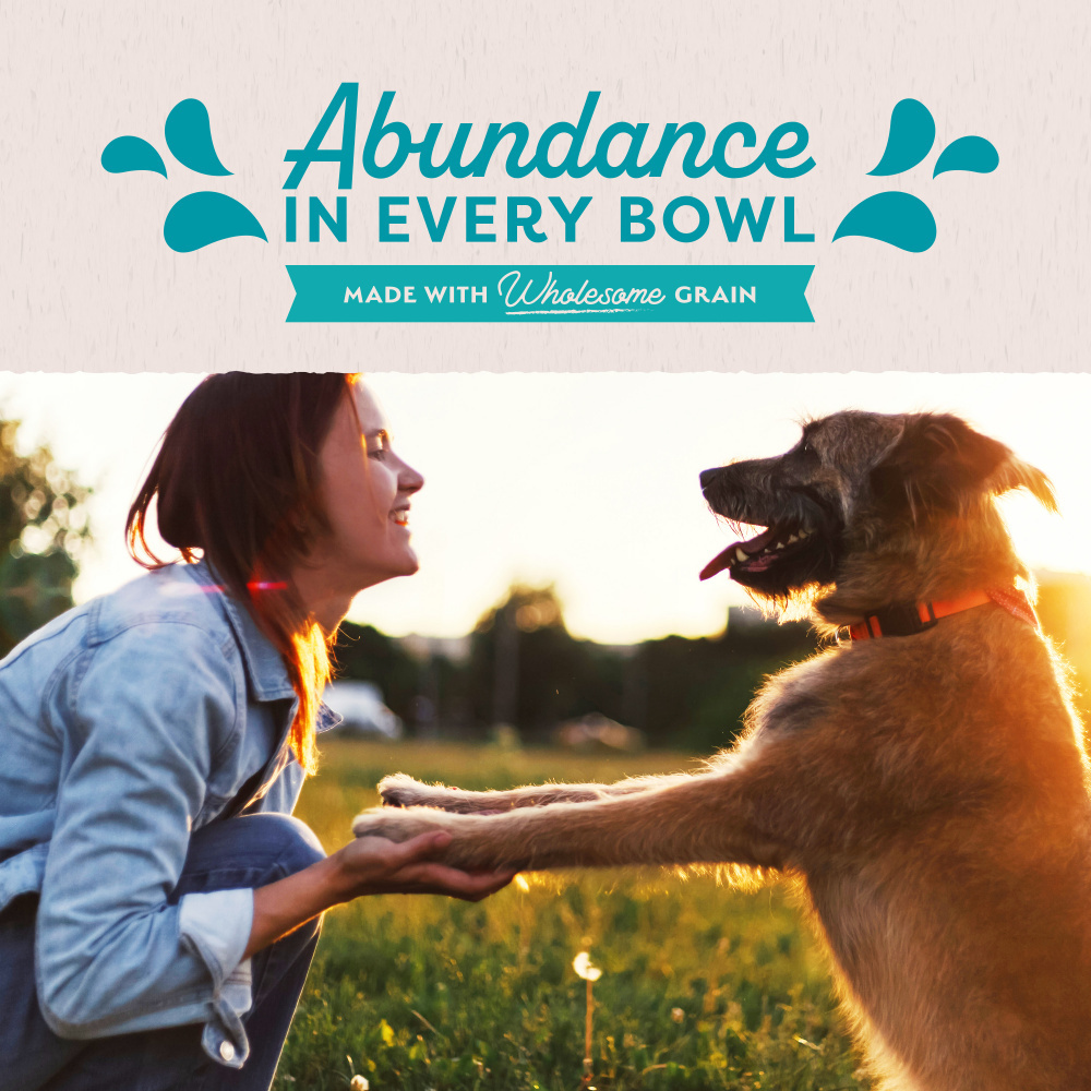 
                  
                    Natural Balance Original Ultra Chicken Recipe Canned Wet Dog Food
                  
                