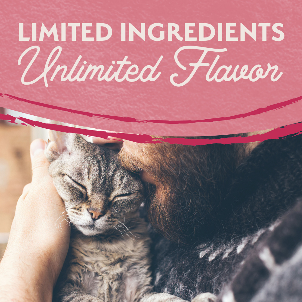 Natural Balance Limited Ingredient Wet Cat Food, Salmon & Green Pea Pate Recipe