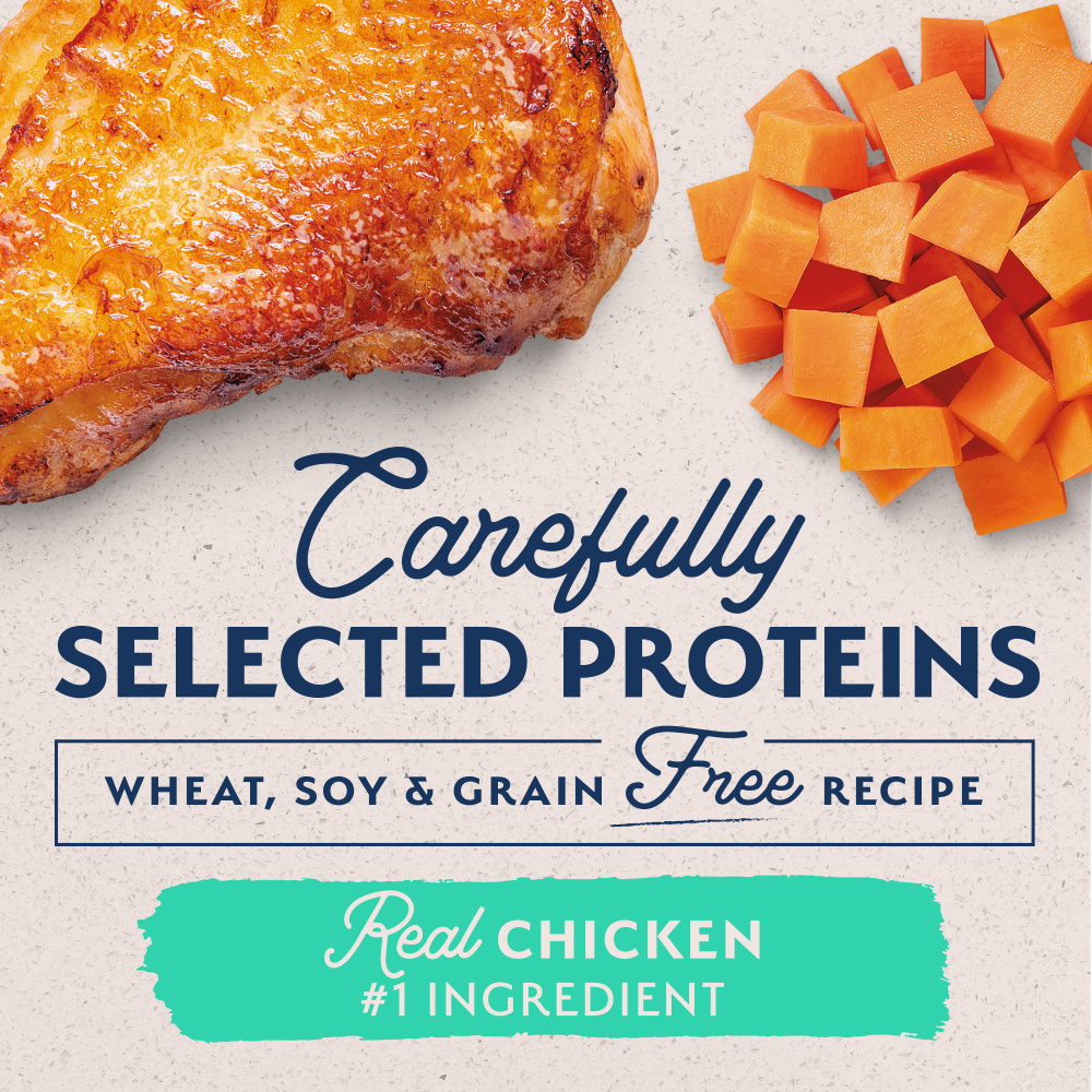 
                  
                    Natural Balance Limited Ingredient Grain Free Chicken & Sweet Potato Recipe Wet Canned Dog Food
                  
                