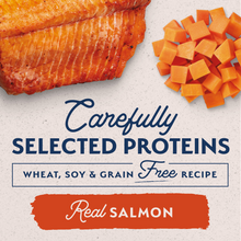 Load image into Gallery viewer, Natural Balance Limited Ingredient Grain Free Sweet Potato &amp; Salmon Recipe Wet Canned Dog Food