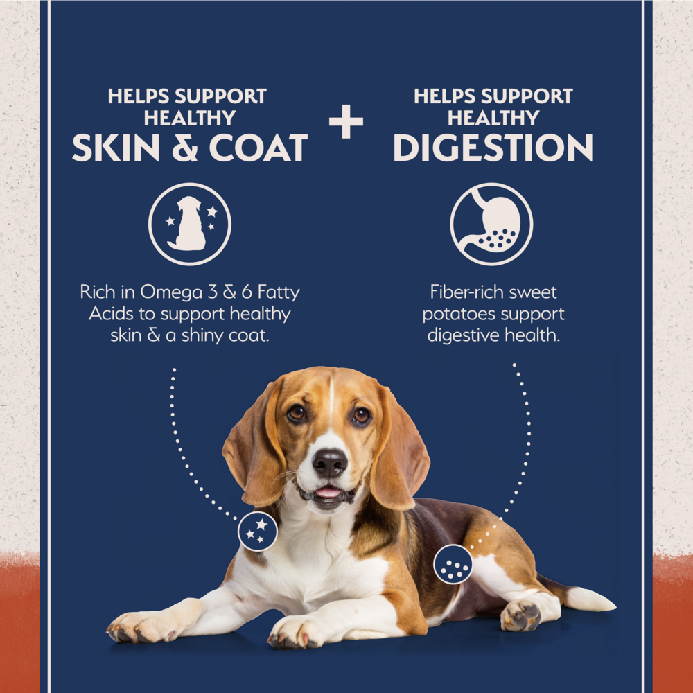 
                  
                    Natural Balance Limited Ingredient Grain Free Salmon & Sweet Potato Recipe Dry Dog Food
                  
                