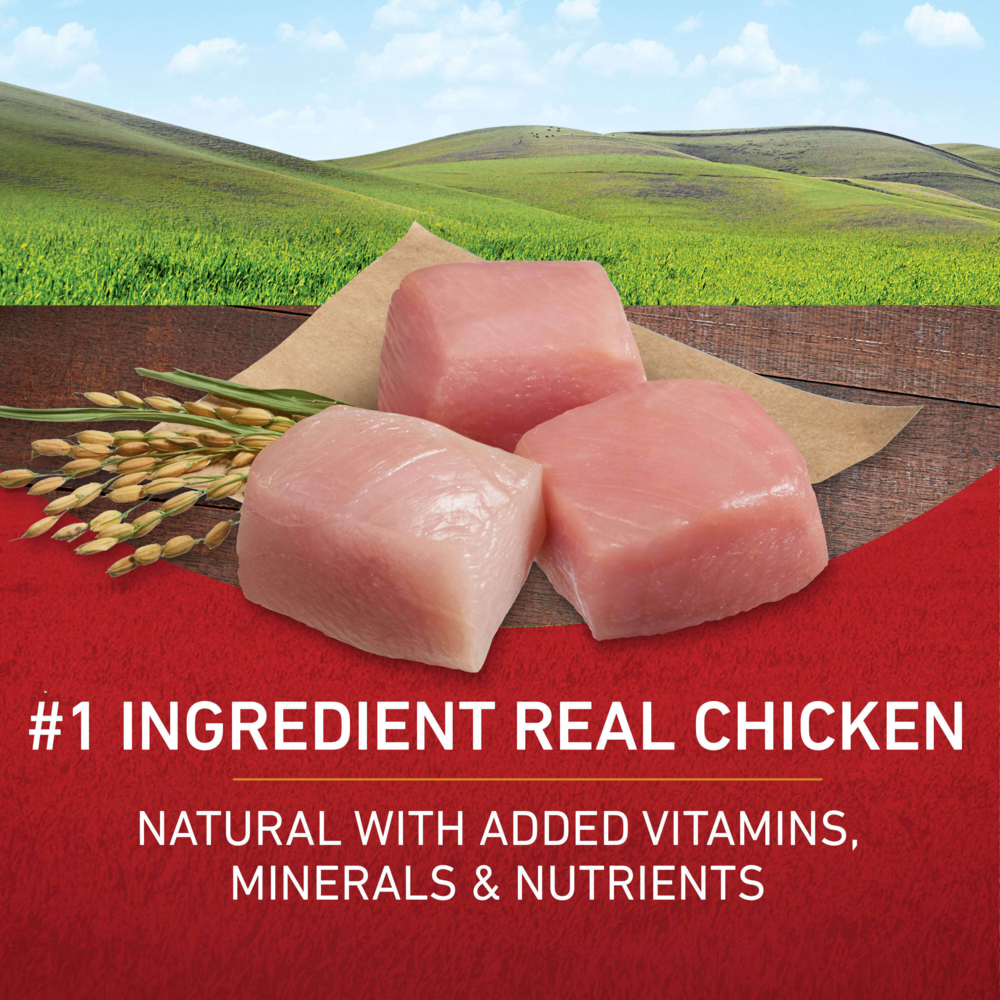 
                  
                    Purina ONE Chicken and Rice Formula Dry Dog Food
                  
                