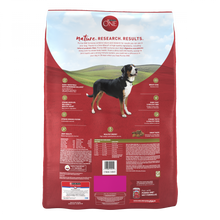 Load image into Gallery viewer, Purina ONE SmartBlend Lamb &amp; Rice Dry Dog Food