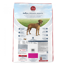 Load image into Gallery viewer, Purina ONE SmartBlend Large Breed Adult Dry Dog Food