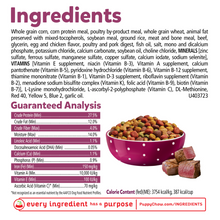 Load image into Gallery viewer, Purina Puppy Chow Tender and Crunchy Beef Recipe Dry Dog Food