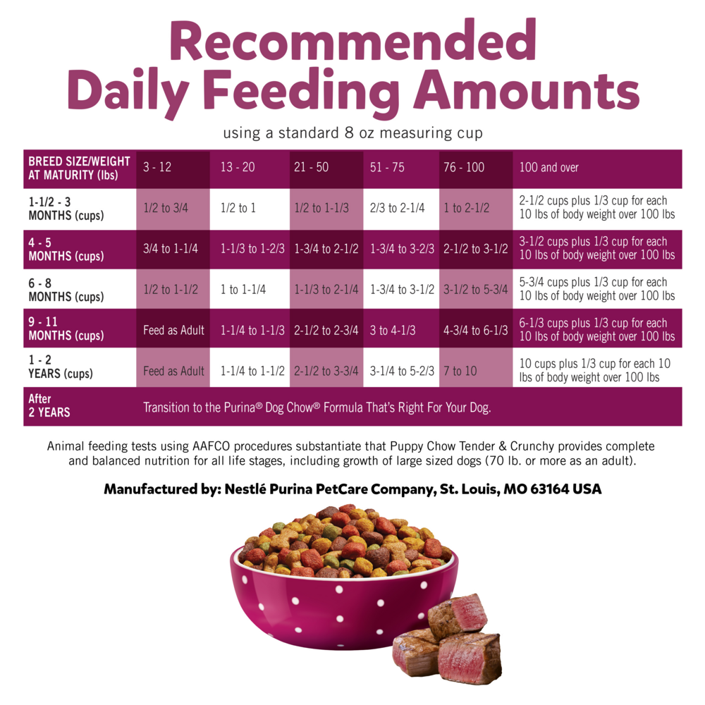 
                  
                    Purina Puppy Chow Tender and Crunchy Beef Recipe Dry Dog Food
                  
                