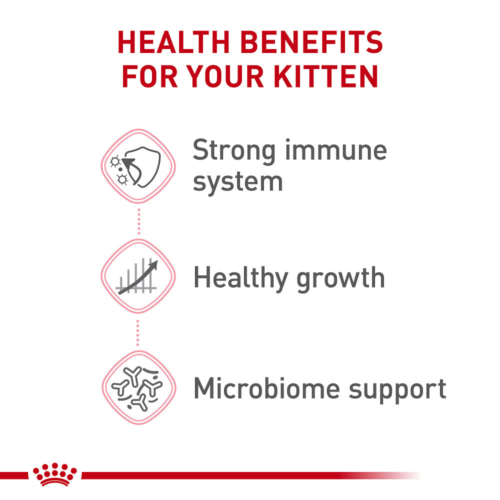 
                  
                    Royal Canin Feline Health Nutrition Kitten Dry Kitten Food
                  
                