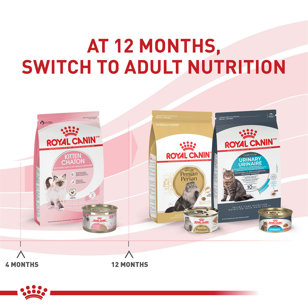 
                  
                    Royal Canin Feline Health Nutrition Kitten Dry Kitten Food
                  
                