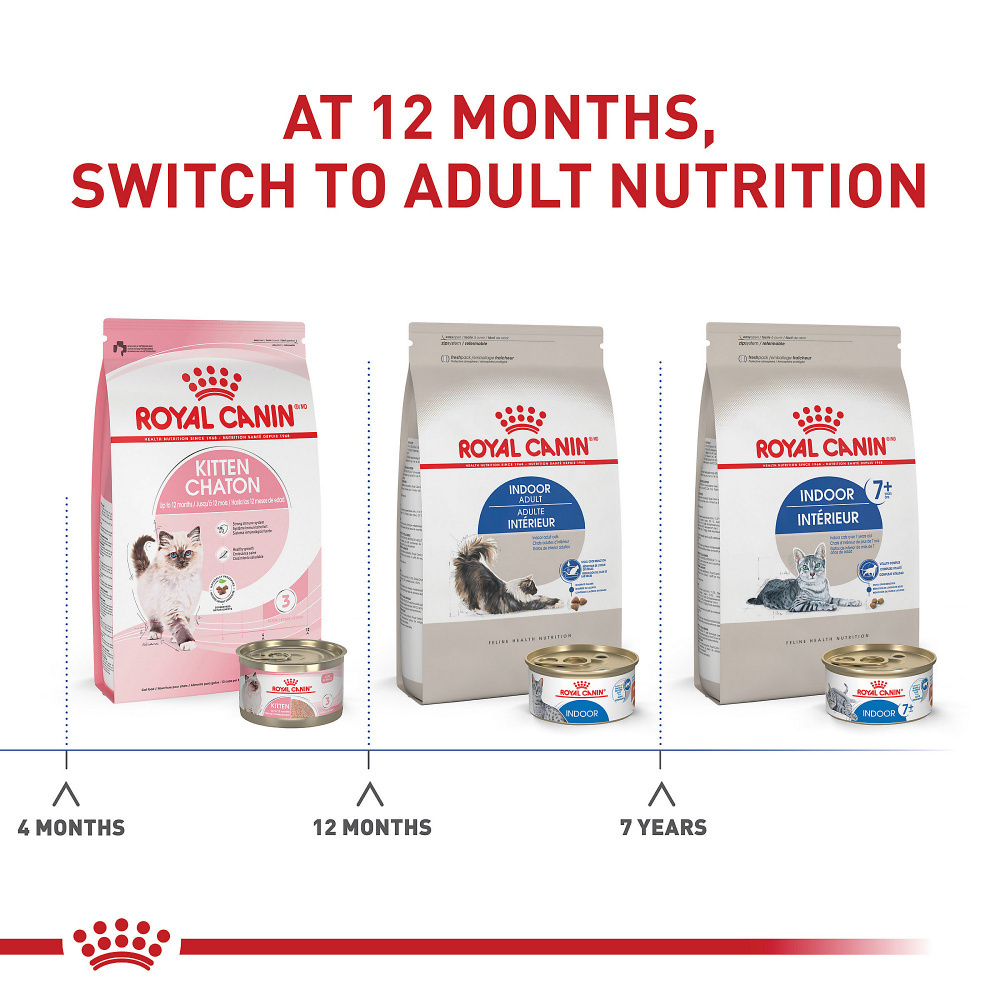 
                  
                    Royal Canin Feline Health Nutrition Indoor Adult Dry Cat Food
                  
                