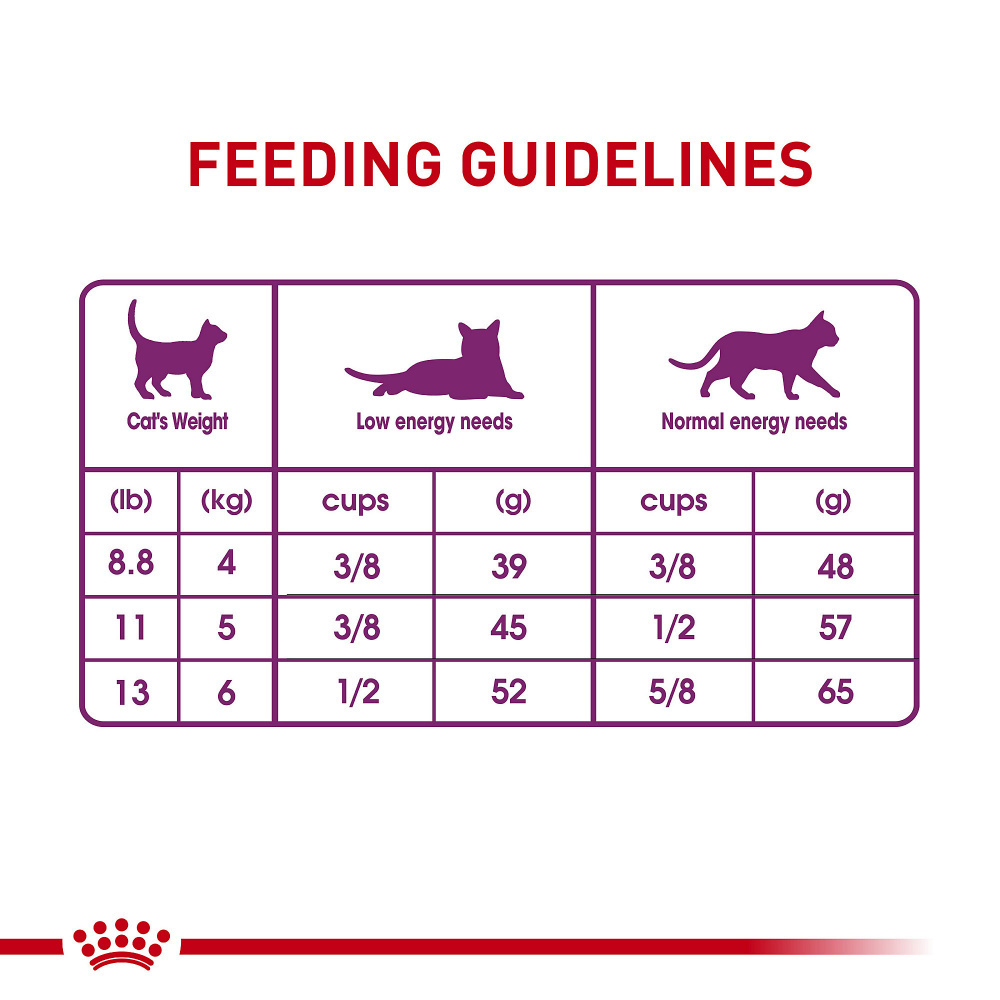 
                  
                    Royal Canin Feline Health Nutrition Sensitive Digestion Dry Cat Food
                  
                