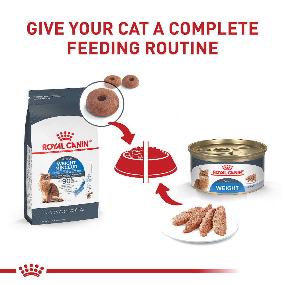 
                  
                    Royal Canin Feline Care Nutrition Weight Care Dry Cat Food
                  
                