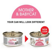 Load image into Gallery viewer, Royal Canin Feline Health Nutrition Mother &amp; Babycat Ultra Soft Mousse in Sauce Canned Cat Food