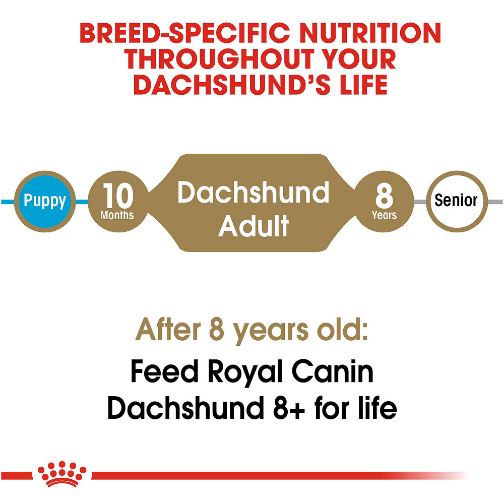 
                  
                    Royal Canin Breed Health Nutrition Dachshund Adult Dry Dog Food
                  
                