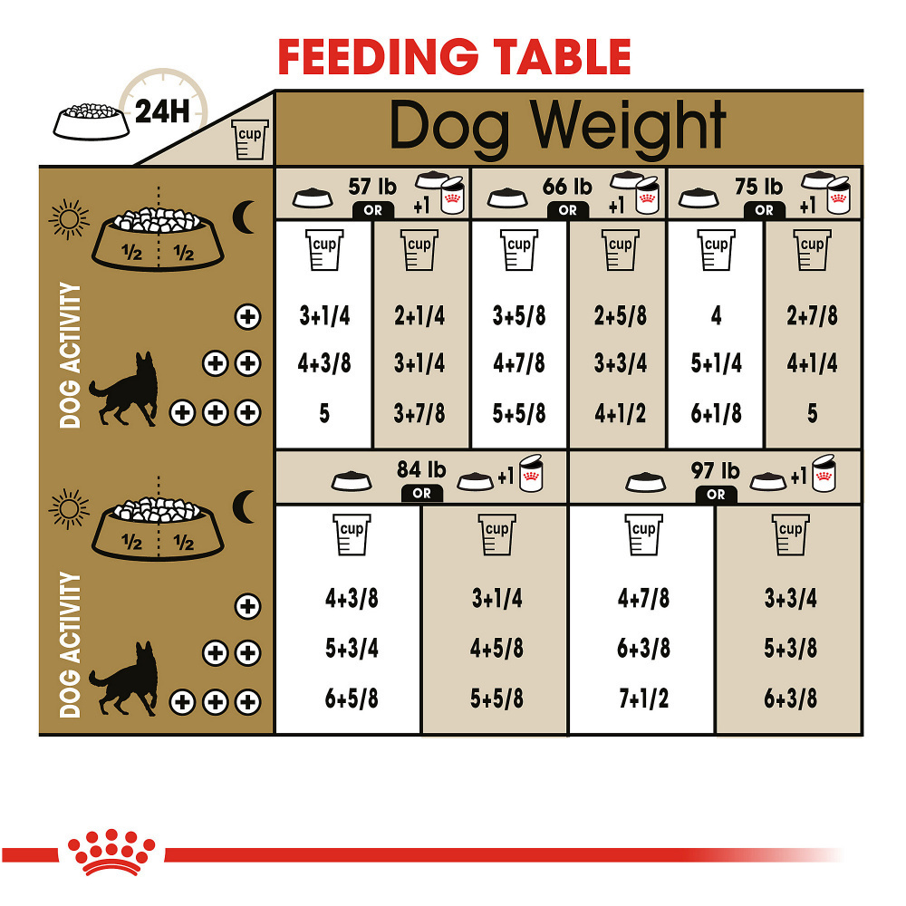 
                  
                    Royal Canin Breed Health Nutrition German Shepherd Adult Dry Dog Food
                  
                