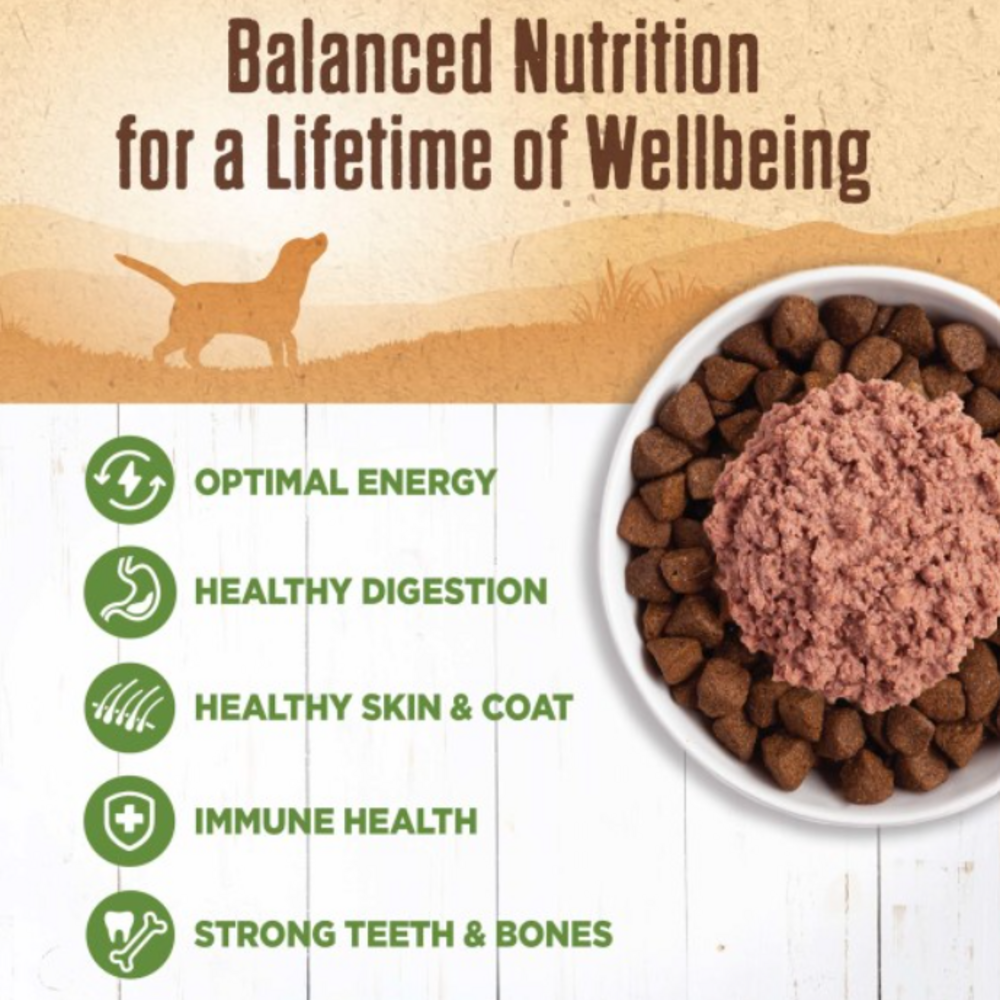 
                  
                    Wellness Natural Grain Free 95%  Lamb Recipe Adult Wet Canned Dog Food
                  
                