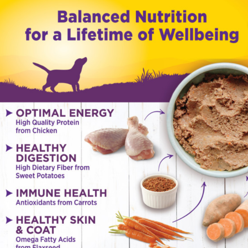 
                  
                    Wellness Complete Health Natural Chicken and Sweet Potato Recipe Wet Canned Dog Food
                  
                