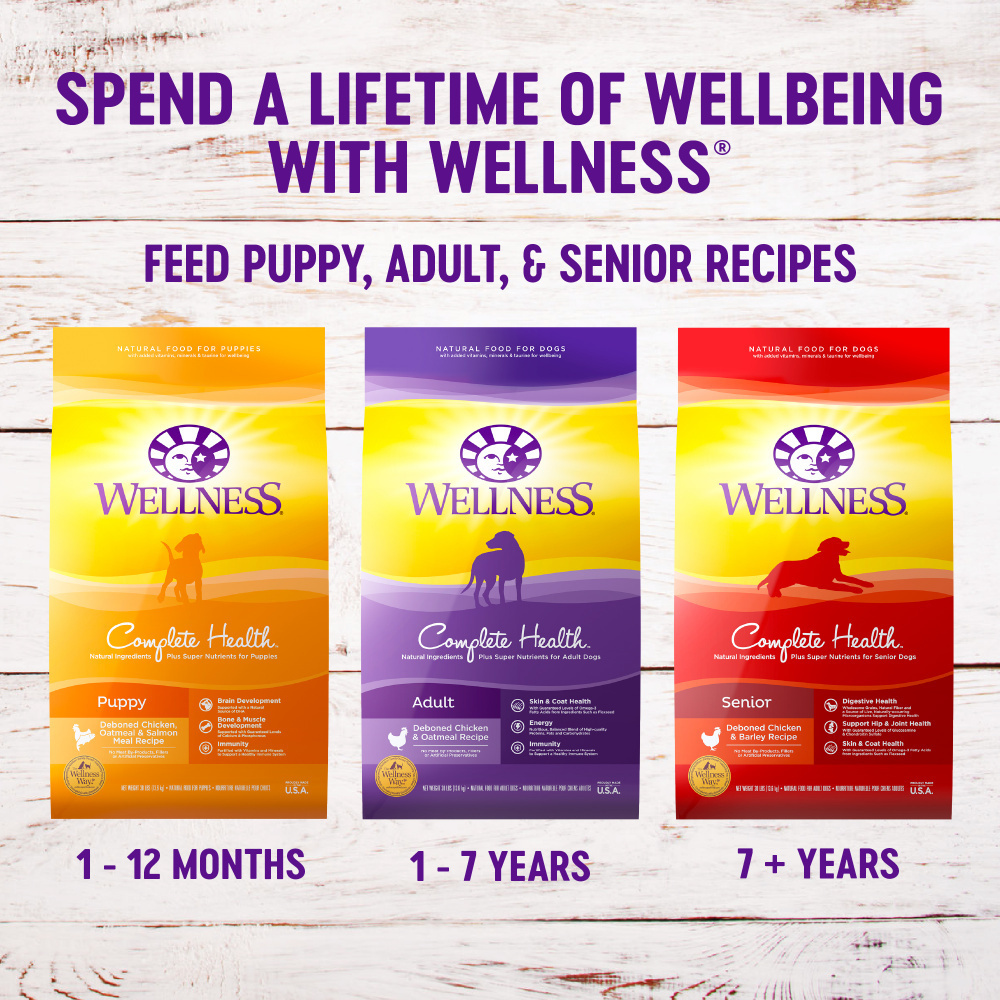 
                  
                    Wellness Complete Health Natural Small Breed Adult Turkey and Oatmeal Recipe Dry Dog Food
                  
                