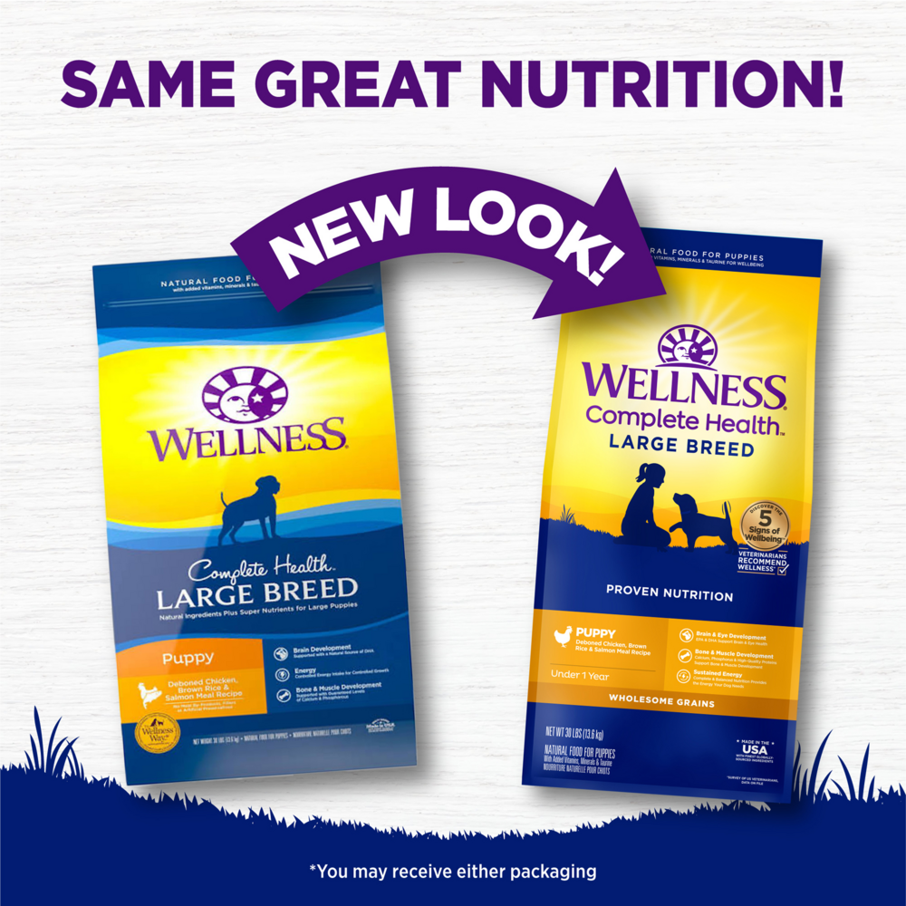 
                  
                    Wellness Complete Health Natural Large Breed Puppy Chicken, Brown Rice and Salmon Recipe Dry Dog Food
                  
                