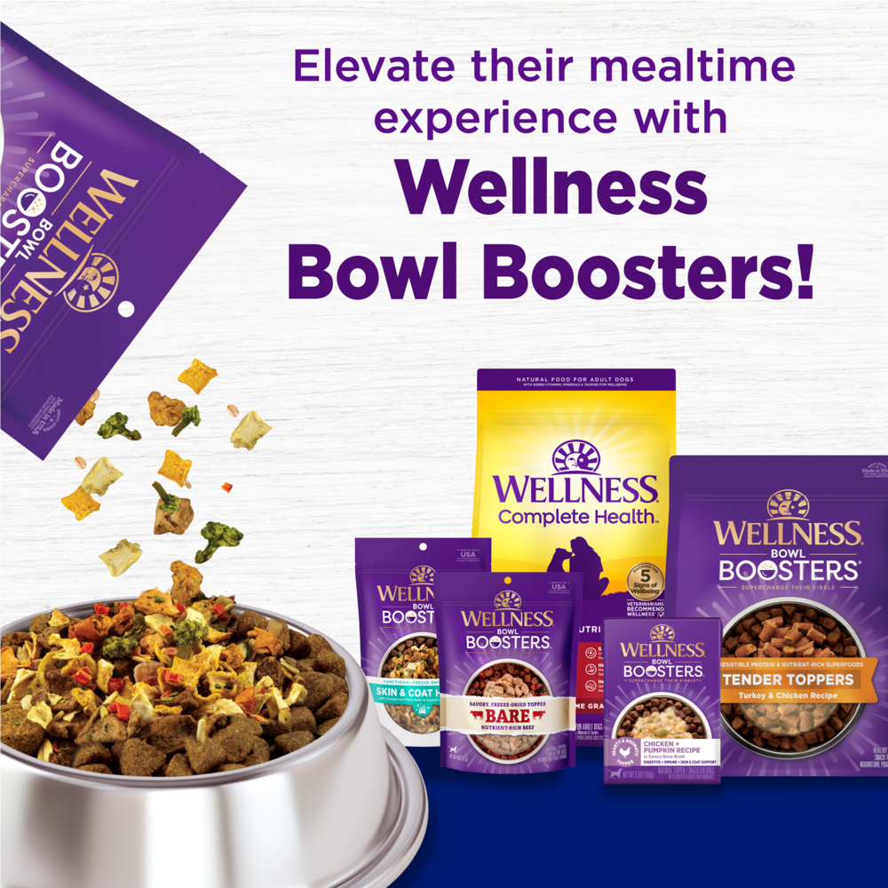 Wellness Complete Health Natural Large Breed Puppy Chicken, Brown Rice and Salmon Recipe Dry Dog Food