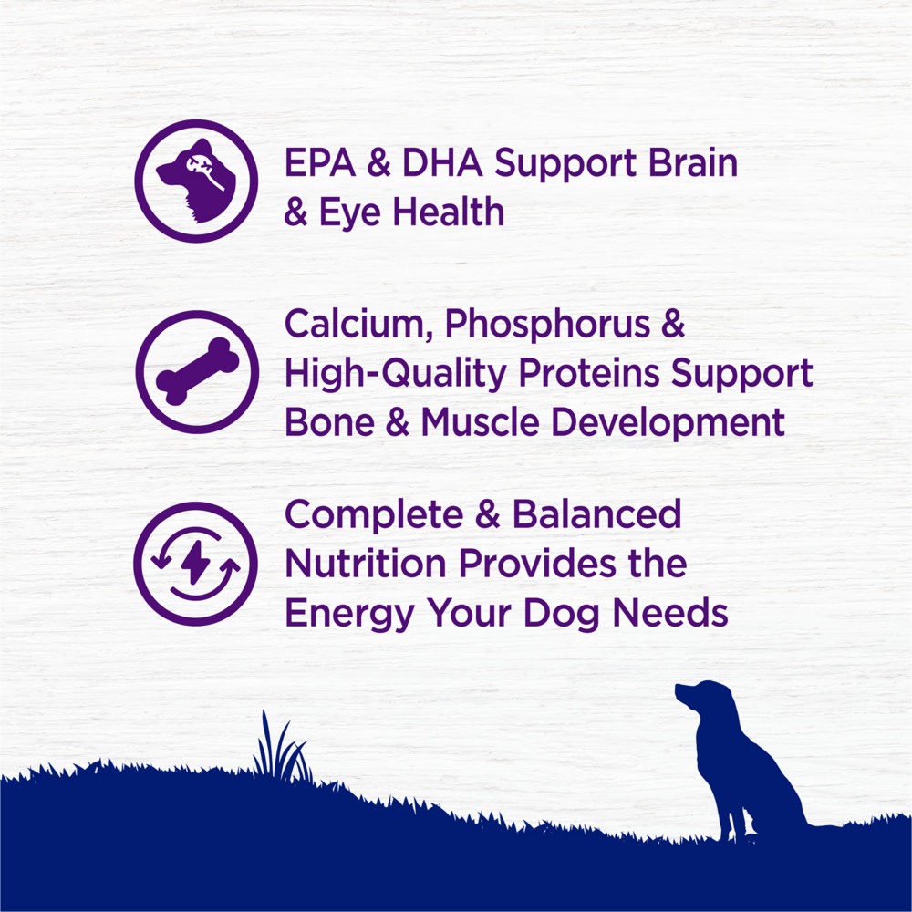
                  
                    Wellness Complete Health Natural Large Breed Puppy Chicken, Brown Rice and Salmon Recipe Dry Dog Food
                  
                