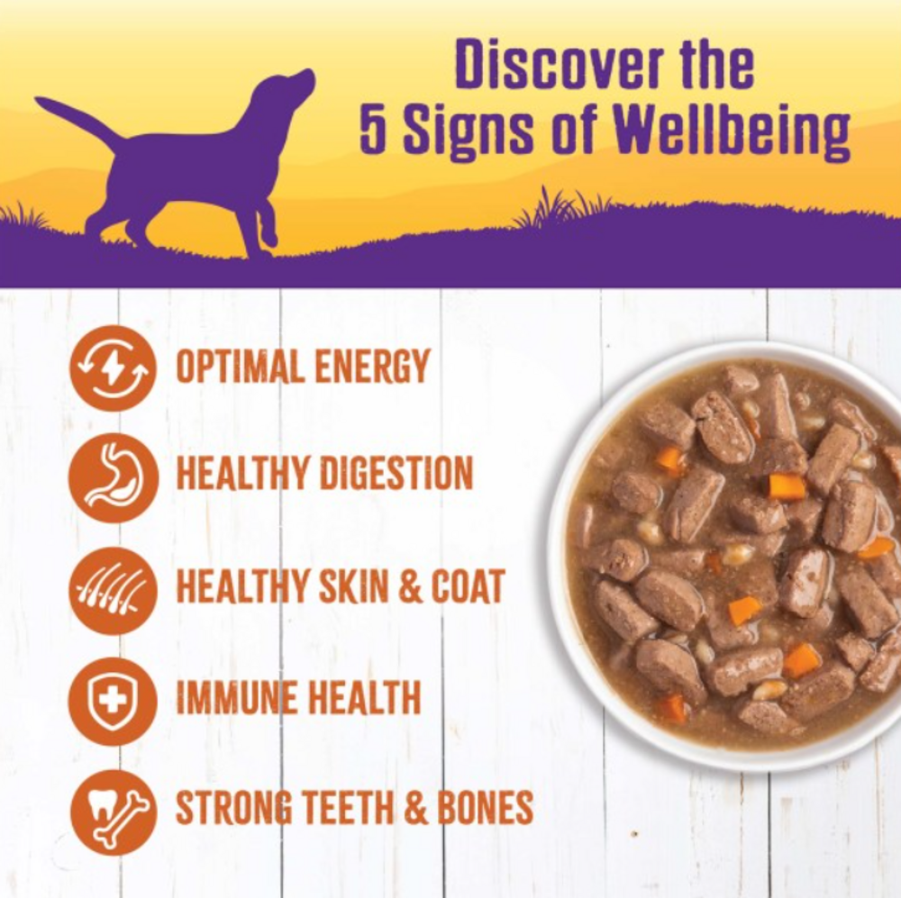 
                  
                    Wellness Natural Turkey Stew with Barley and Carrots Wet Canned Dog Food
                  
                
