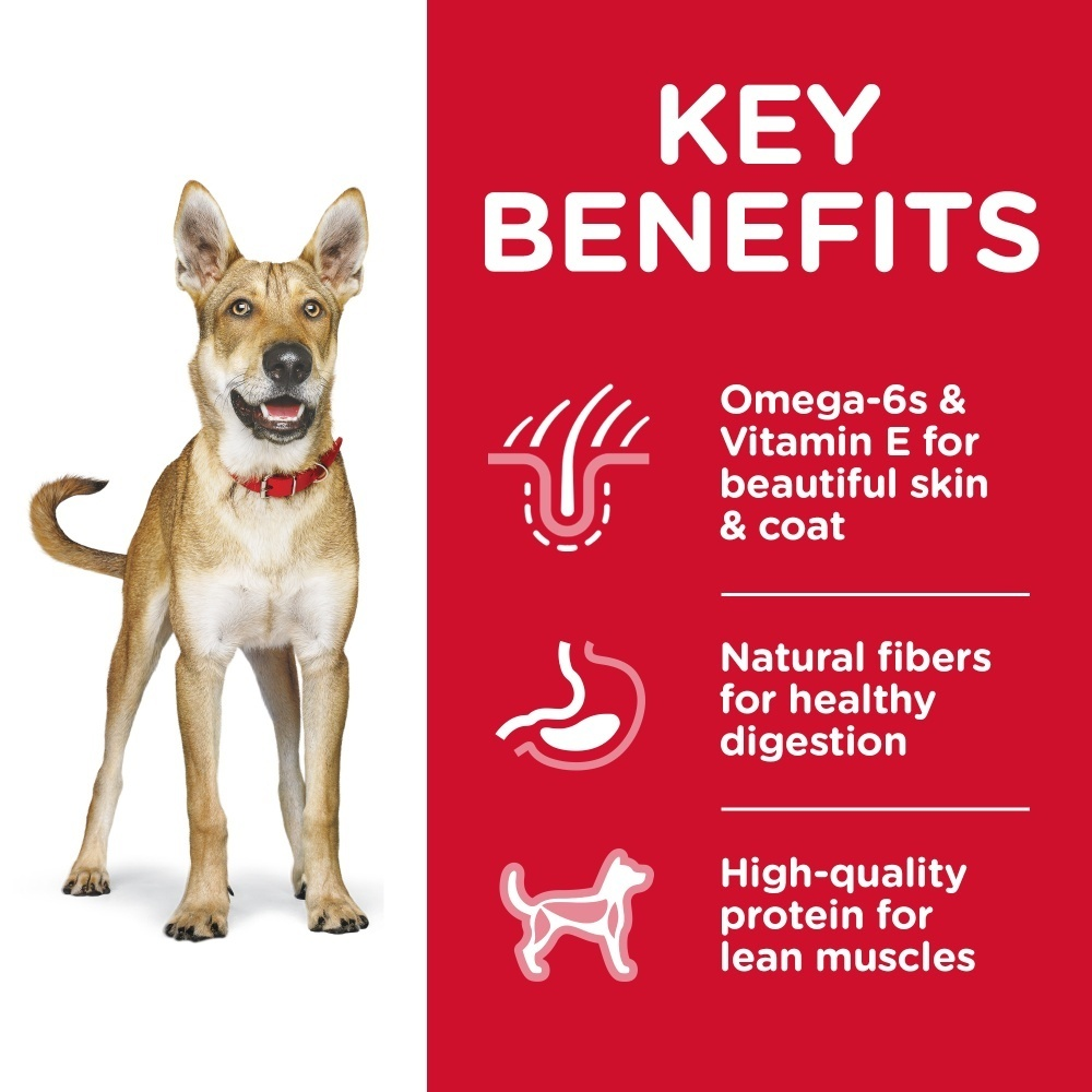 
                  
                    Hill's Science Diet Adult Chicken & Barley Recipe Dry Dog Food
                  
                