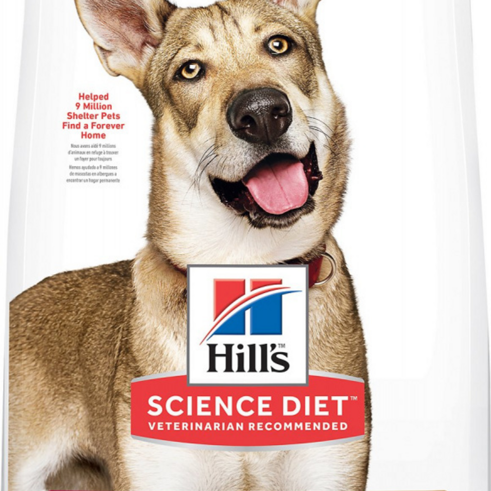 Hill's Science Diet Adult Lamb Meal & Brown Rice Recipe Dry Dog Food