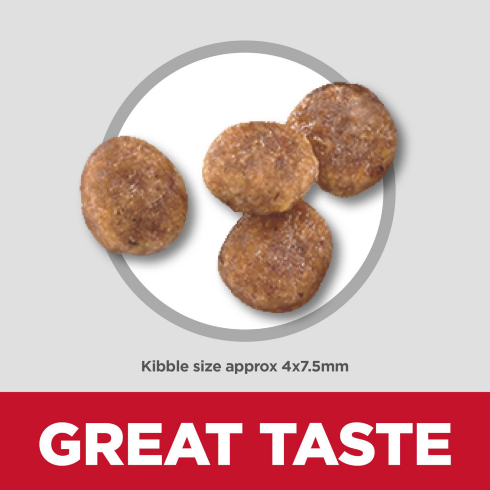 
                  
                    Hill's Science Diet Adult SM Paws Chicken Meal & Rice Recipe Dry Dog Food
                  
                