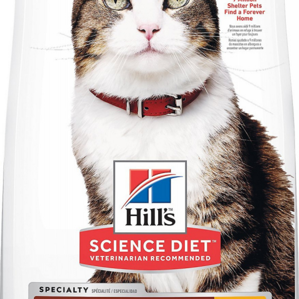 
                  
                    Hill's Science Diet Adult Hairball Control Chicken Recipe Dry Cat Food
                  
                