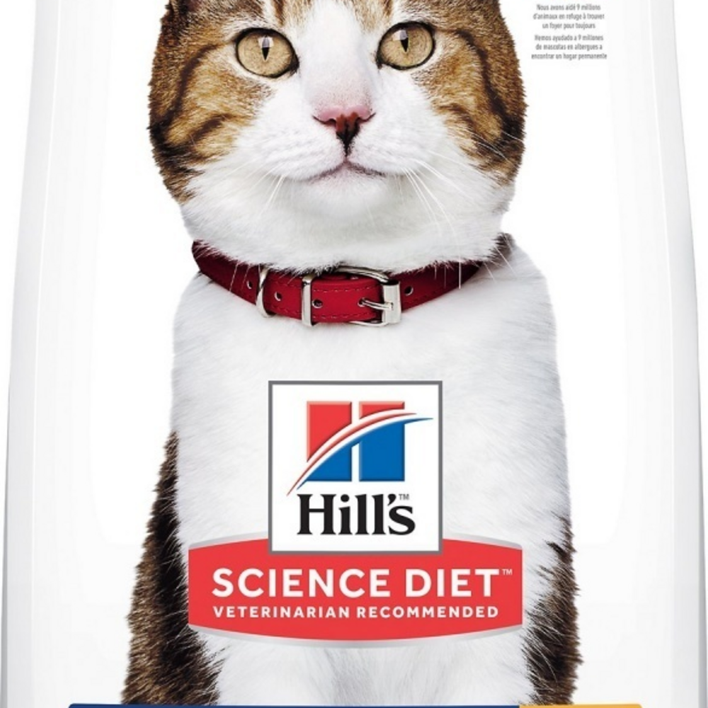 
                  
                    Hill's Science Diet Adult 7+ Chicken Recipe Dry Cat Food
                  
                