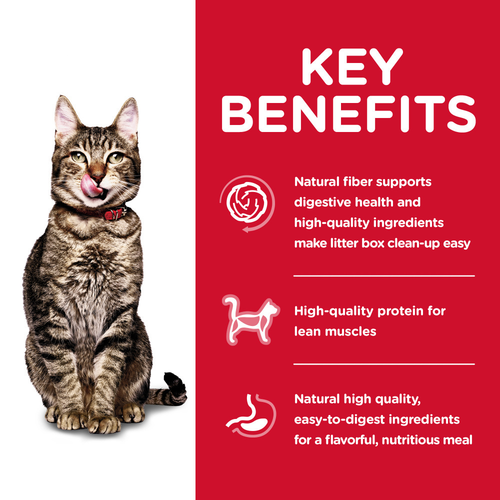 
                  
                    Hill's Science Diet Adult 7+ Indoor Chicken Recipe Dry Cat Food
                  
                