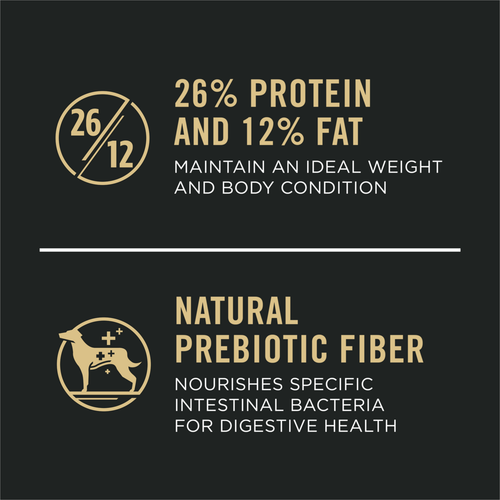 Purina Pro Plan Adult Large Breed Chicken & Rice Formula