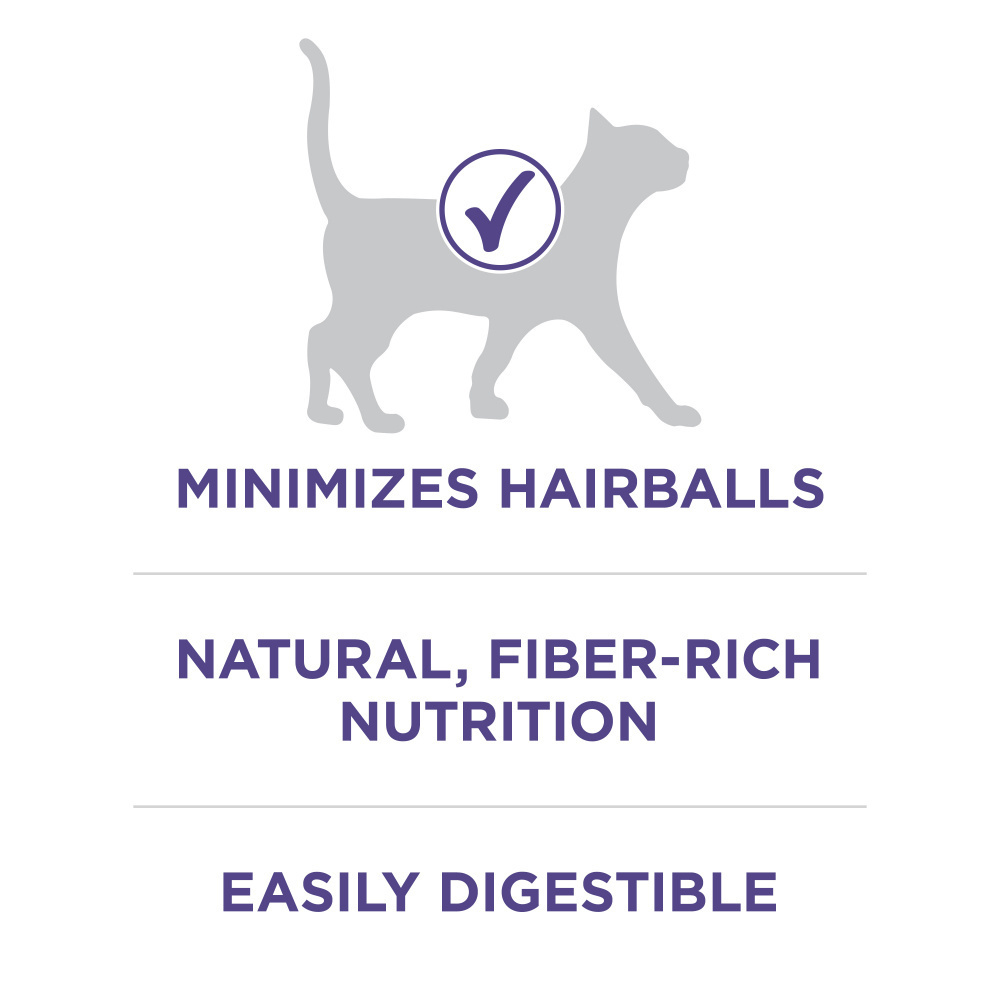 
                  
                    Purina ONE Advanced Nutrition Hairball Formula Dry Cat Food
                  
                