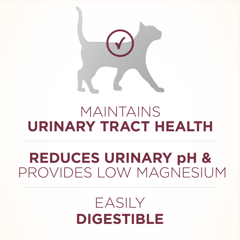 
                  
                    Purina ONE Urinary Tract Health Formula Dry Cat Food
                  
                