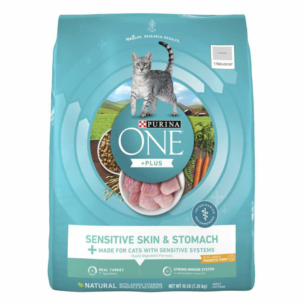 Purina One Sensitive Skin and Stomach Dry Cat Food
