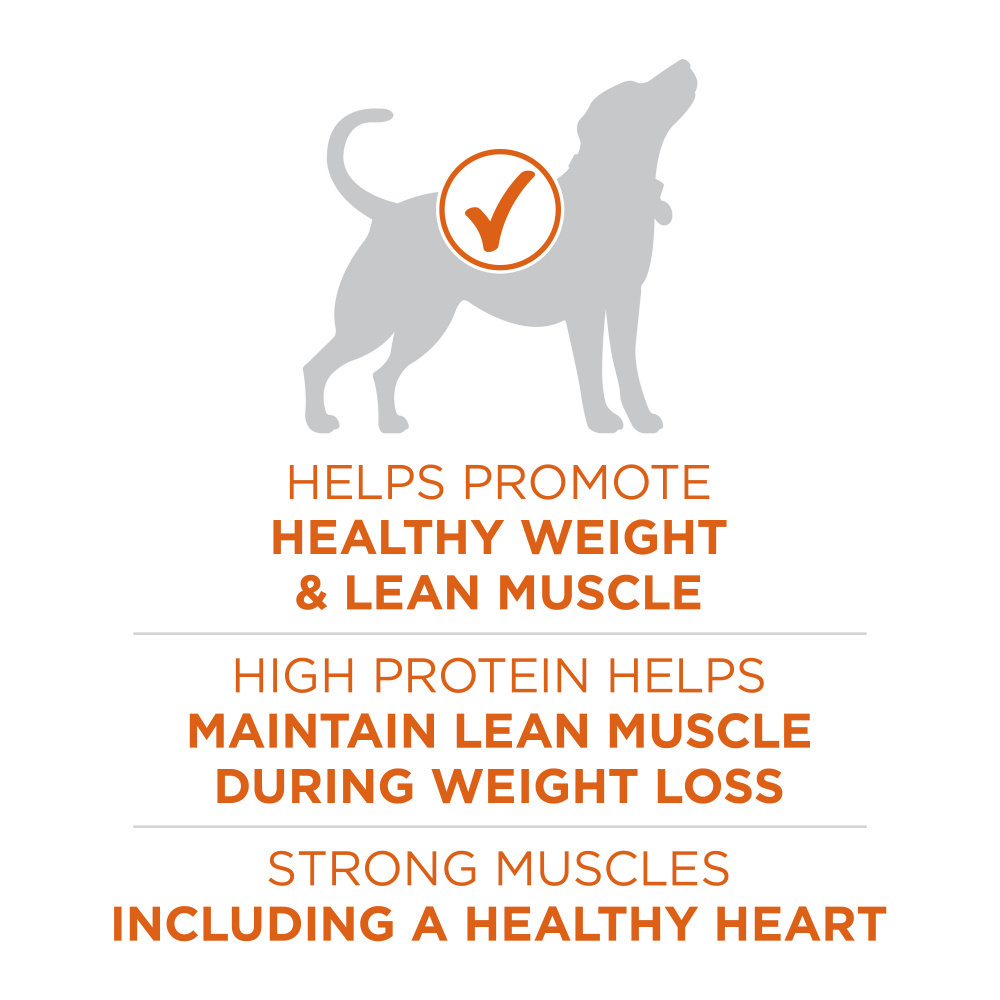 
                  
                    Purina ONE SmartBlend Healthy Weight Turkey Formula Dry Dog Food
                  
                