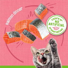 Load image into Gallery viewer, Friskies Pate Salmon Dinner Canned Cat Food