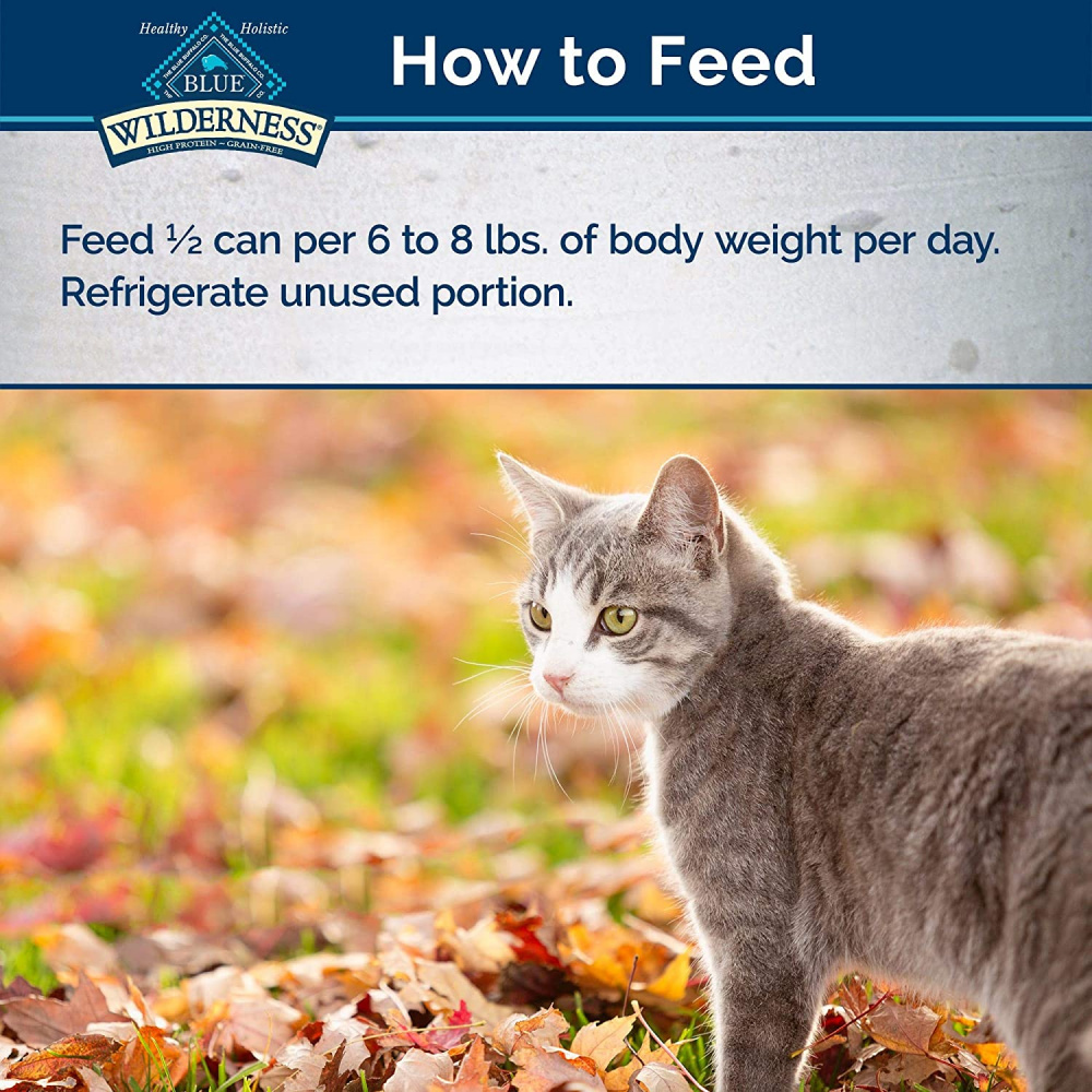 
                  
                    Blue Buffalo Wilderness High-Protein Grain-Free Adult Chicken Recipe Canned Cat Food
                  
                