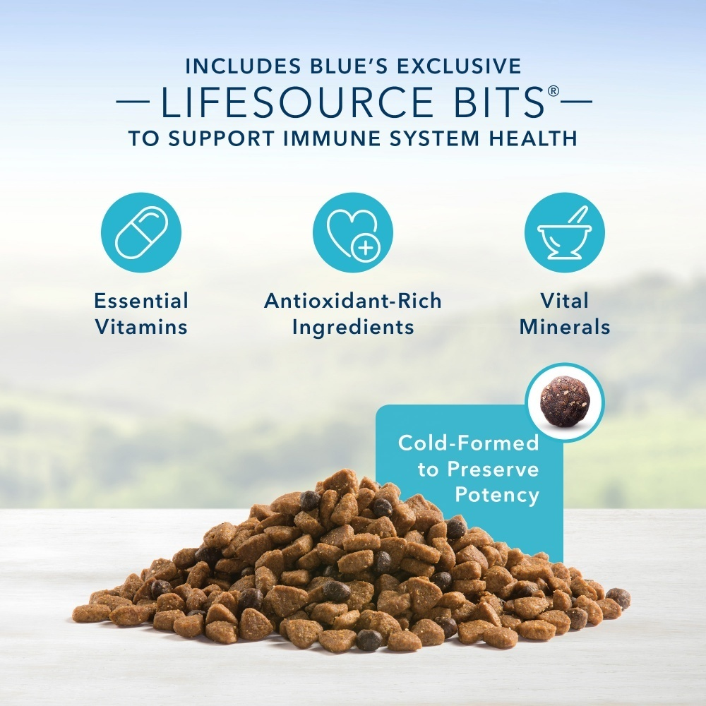 
                  
                    Blue Buffalo Life Protection Formula Small Breed Puppy Chicken & Oatmeal Recipe Dry Dog Food
                  
                