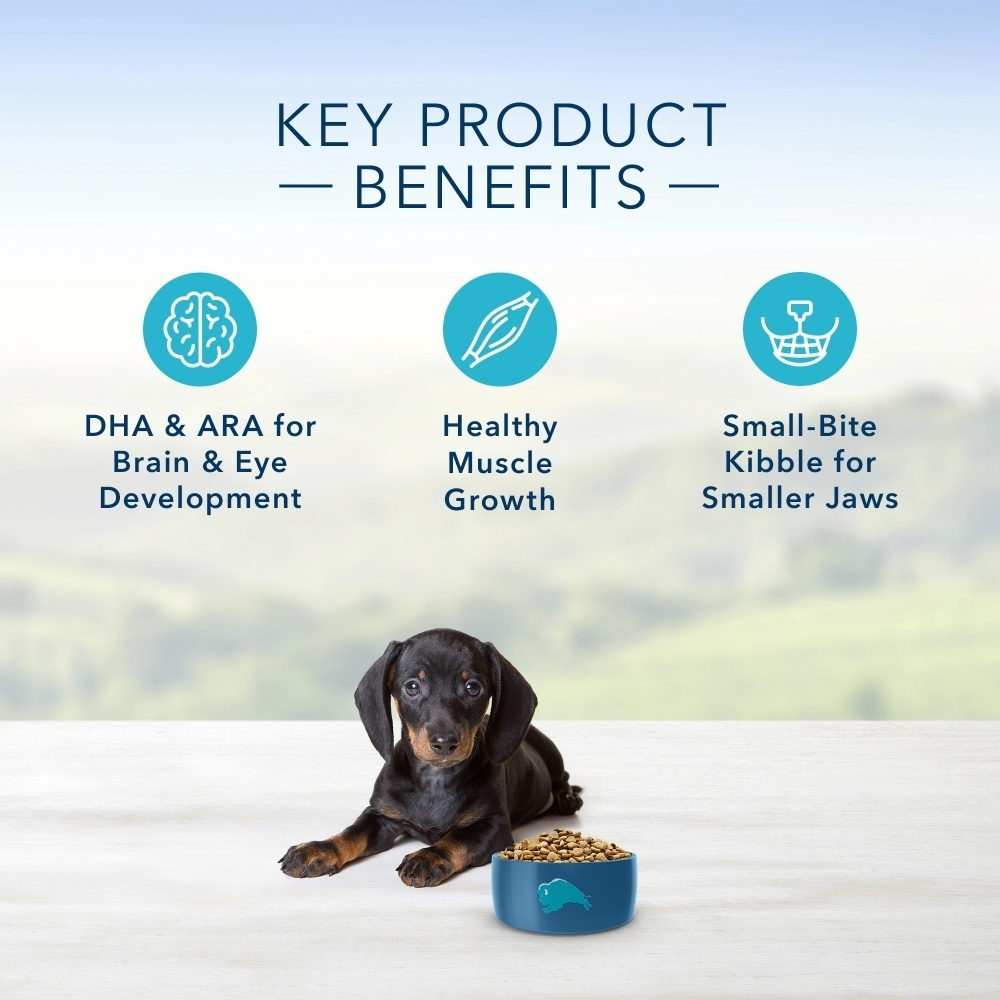 
                  
                    Blue Buffalo Life Protection Formula Small Breed Puppy Chicken & Oatmeal Recipe Dry Dog Food
                  
                