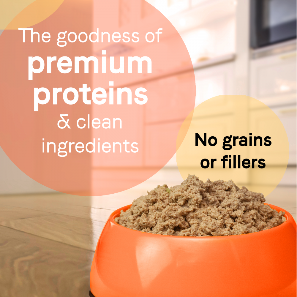 
                  
                    Canidae Pure Wet Dog Food, Lamb, Turkey & Chicken Recipe
                  
                