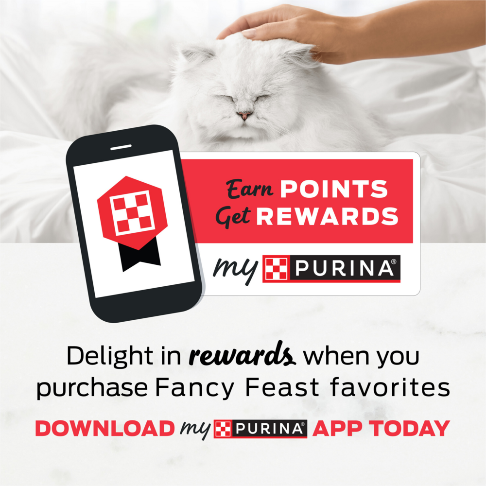 Purina Fancy Feast Tender Turkey Feast Wet Kitten Food