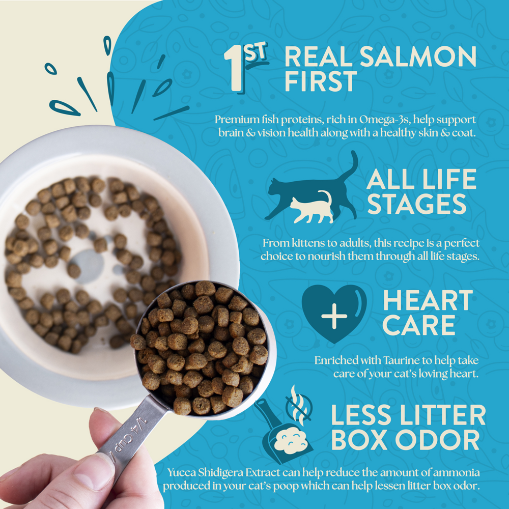 
                  
                    Earthborn Holistic Wild Sea Catch Grain Free Natural Cat Food
                  
                